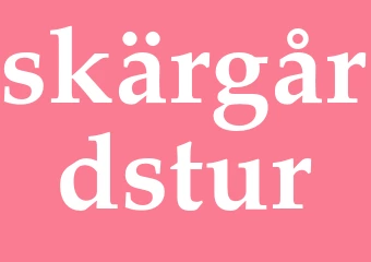 Synonym skärgårdstur
