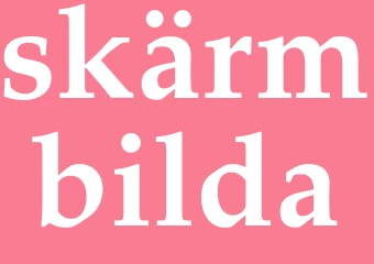 Synonym skärmbilda