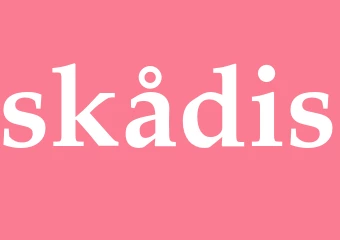 Synonym skådis