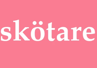 Synonym skötare