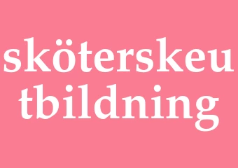 Synonym sköterskeutbildning