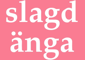 Synonym slagdänga