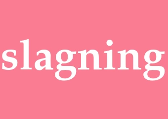 Synonym slagning