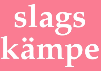 Synonym slagskämpe