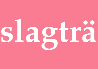 Synonym slagträ