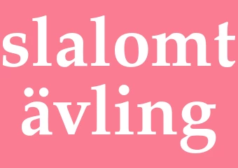 Synonym slalomtävling