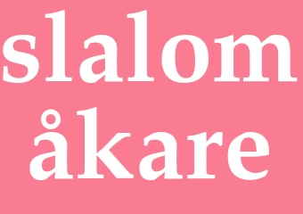 Synonym slalomåkare