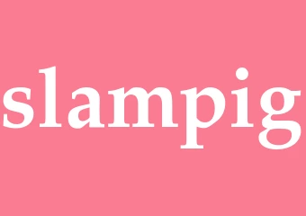 Synonym slampig