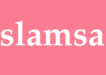 Synonym slamsa