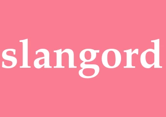 Synonym slangord
