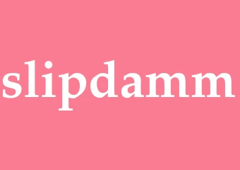 Synonym slipdamm