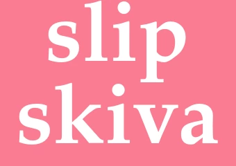 Synonym slipskiva