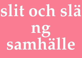 Synonym slit-och-släng-samhälle