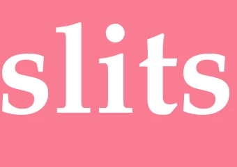 Synonym slits