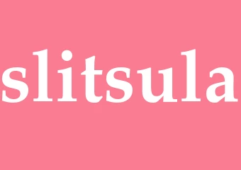 Synonym slitsula