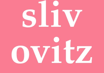 Synonym slivovitz