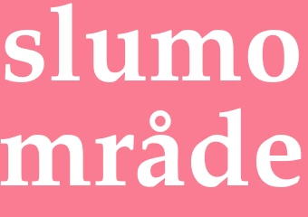 Synonym slumområde