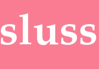 Synonym sluss