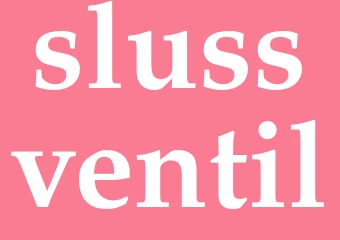 Synonym slussventil