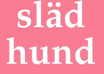 Synonym slädhund