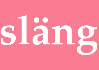 Synonym släng