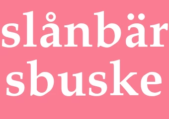 Synonym slånbärsbuske