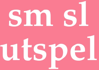 Synonym sm-slutspel