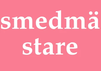 Synonym smedmästare