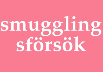 Synonym smugglingsförsök