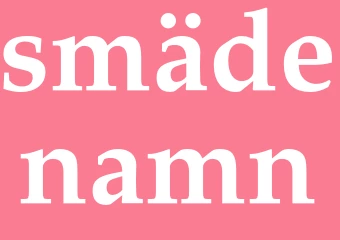 Synonym smädenamn