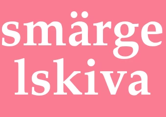 Synonym smärgelskiva