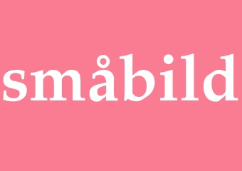 Synonym småbild