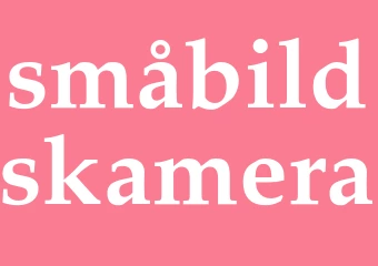 Synonym småbildskamera