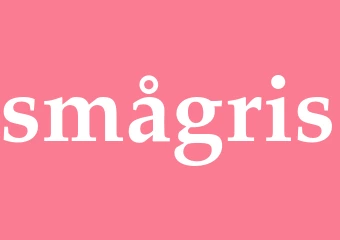 Synonym smågris