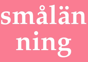 Synonym smålänning