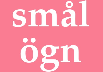 Synonym smålögn
