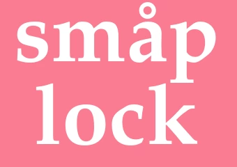 Synonym småplock