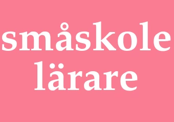 Synonym småskolelärare