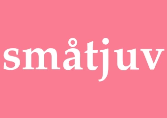 Synonym småtjuv