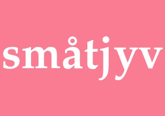 Synonym småtjyv