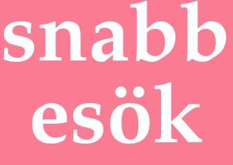 Synonym snabbesök