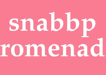 Synonym snabbpromenad