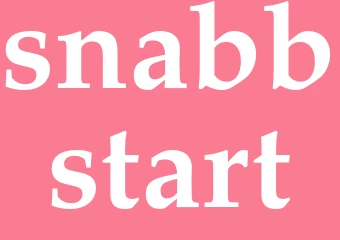 Synonym snabbstart