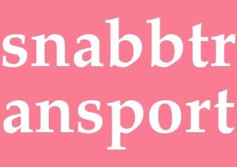 Synonym snabbtransport
