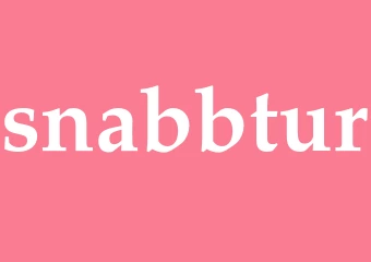 Synonym snabbtur