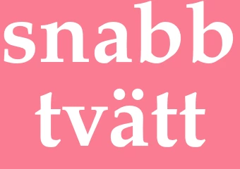 Synonym snabbtvätt