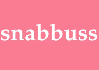 Synonym snabbuss