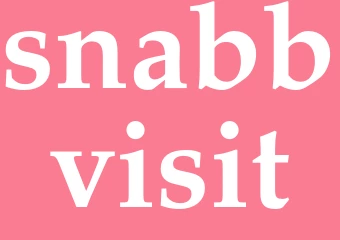 Synonym snabbvisit