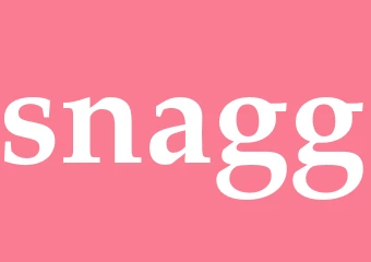 Synonym snagg