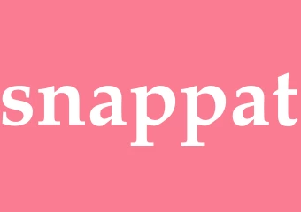 Synonym snappat